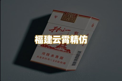 福建云霄精仿